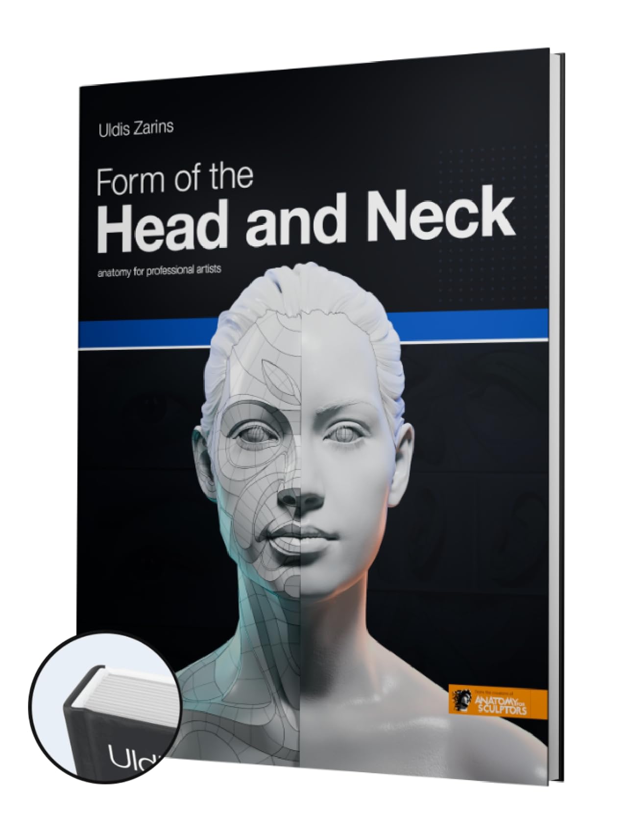 Form of the Head and Neck