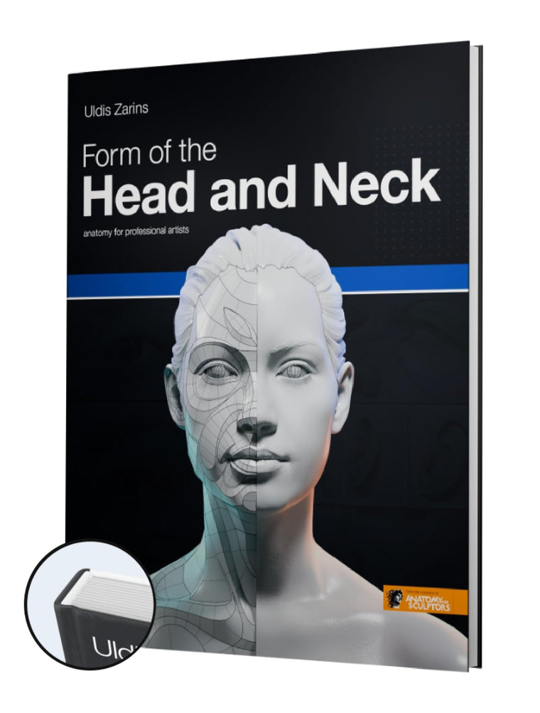 Form of the Head and Neck