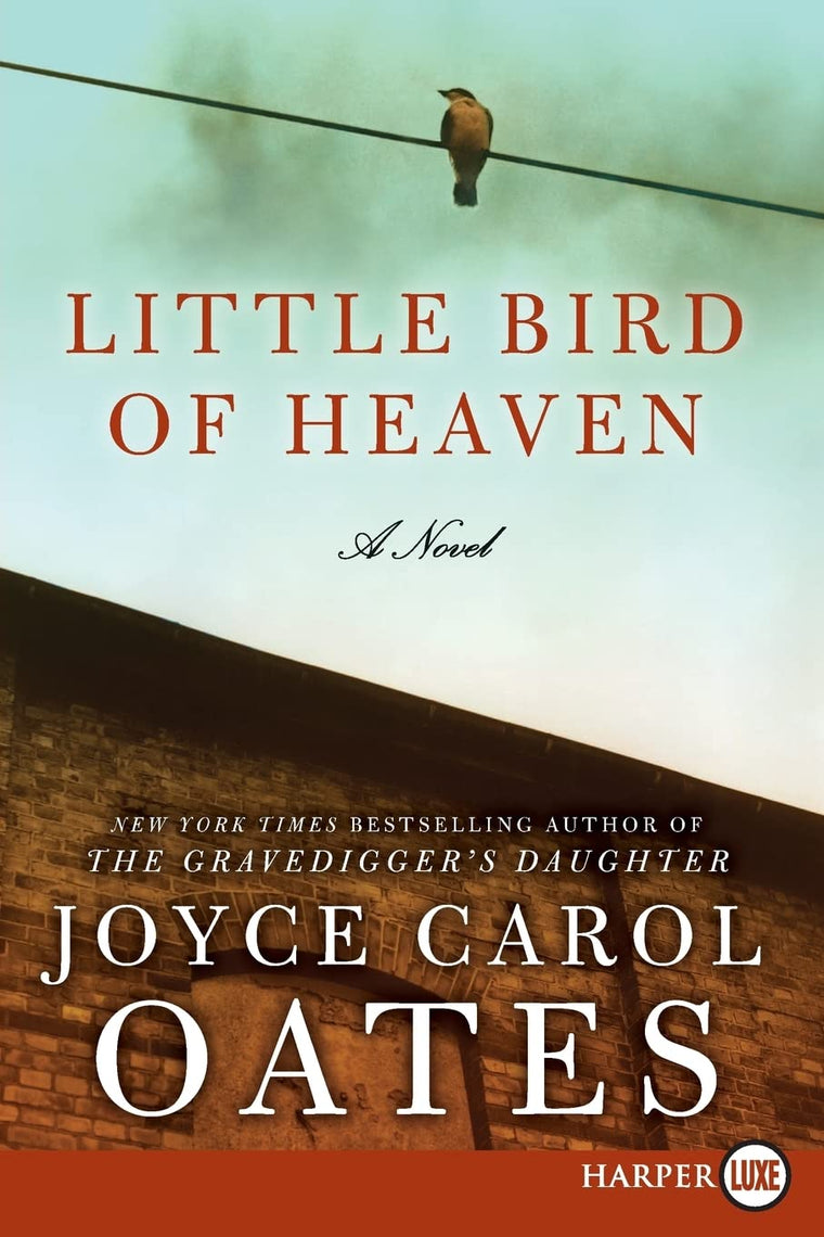 Little Bird of Heaven: A Novel