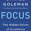 Focus: The Hidden Driver of Excellence