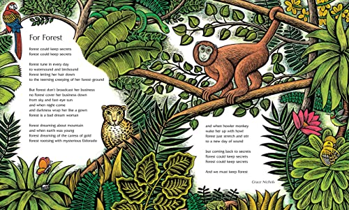The Barefoot Book of Earth Poems — back cover