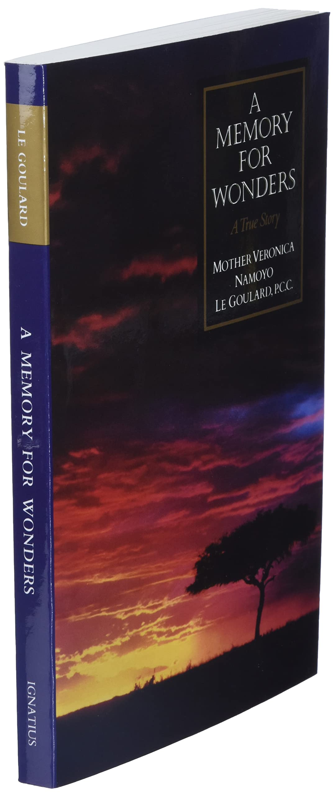 A Memory for Wonders: A True Story