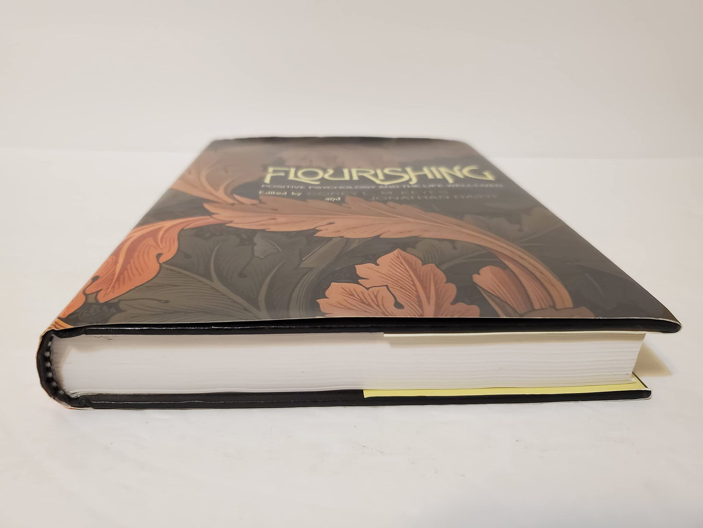 Flourishing: Positive Psychology and the Life Well-Lived