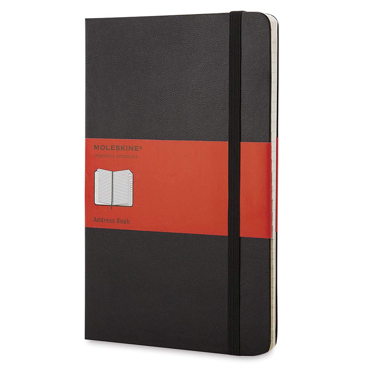 Moleskine PRO Address Book, Hard Cover, Large (5" x 8.25") Black, 240 Pages