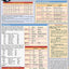 Japanese Verbs QuickStudy Laminated Reference Guide