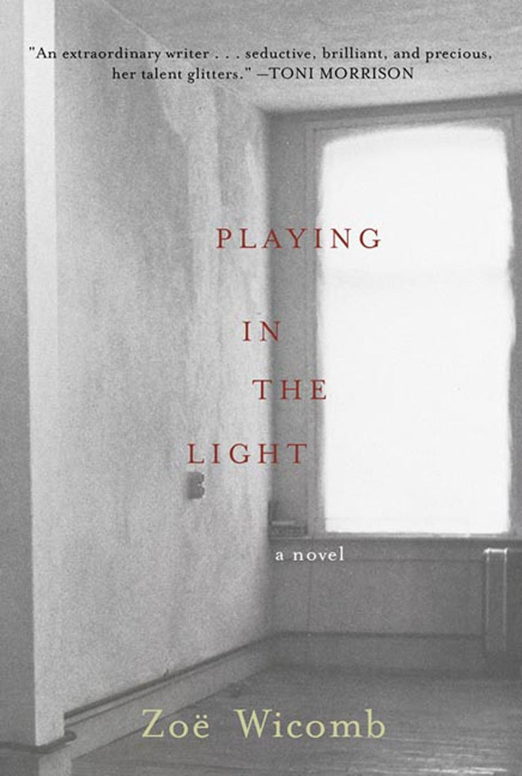 Playing in the Light: A Novel
