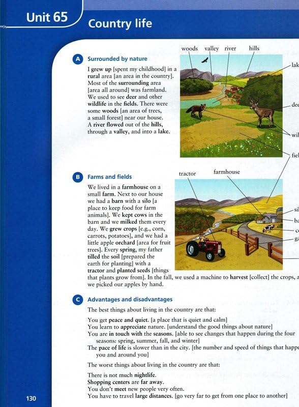 Vocabulary in Use Intermediate Student's Book with Answers