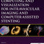 Computing and Visualization for Intravascular Imaging and Computer-Assisted Stenting (The MICCAI Society book Series)
