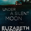 UNDER SILENT MOON (Briarstone, 1)
