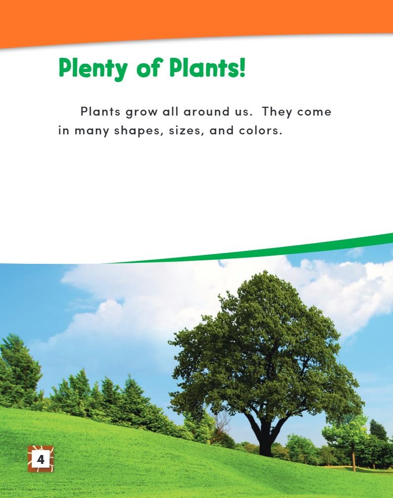 Inside a Plant (Science Readers: Content and Literacy)