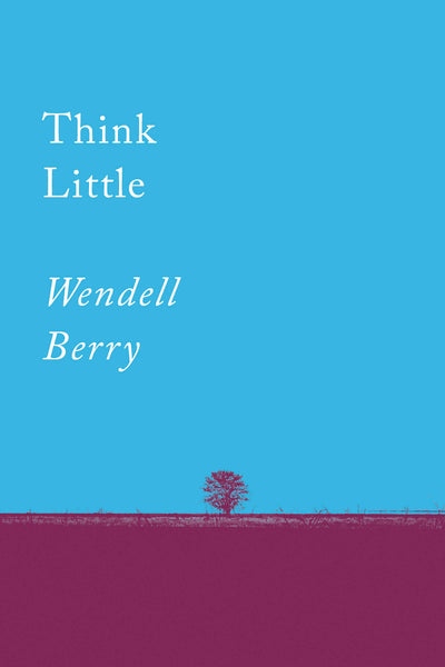 Think Little: Essays