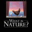 What is Nature?: Culture, Politics and the Non-Human
