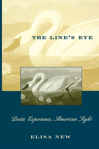The Lines Eye: Poetic Experience, American Sight