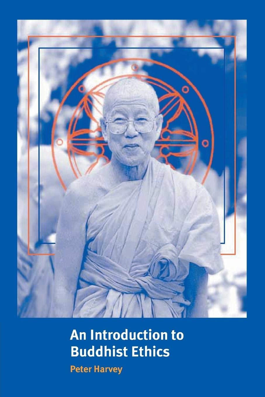 An Introduction to Buddhist Ethics: Foundations, Values and Issues (Introduction to Religion)