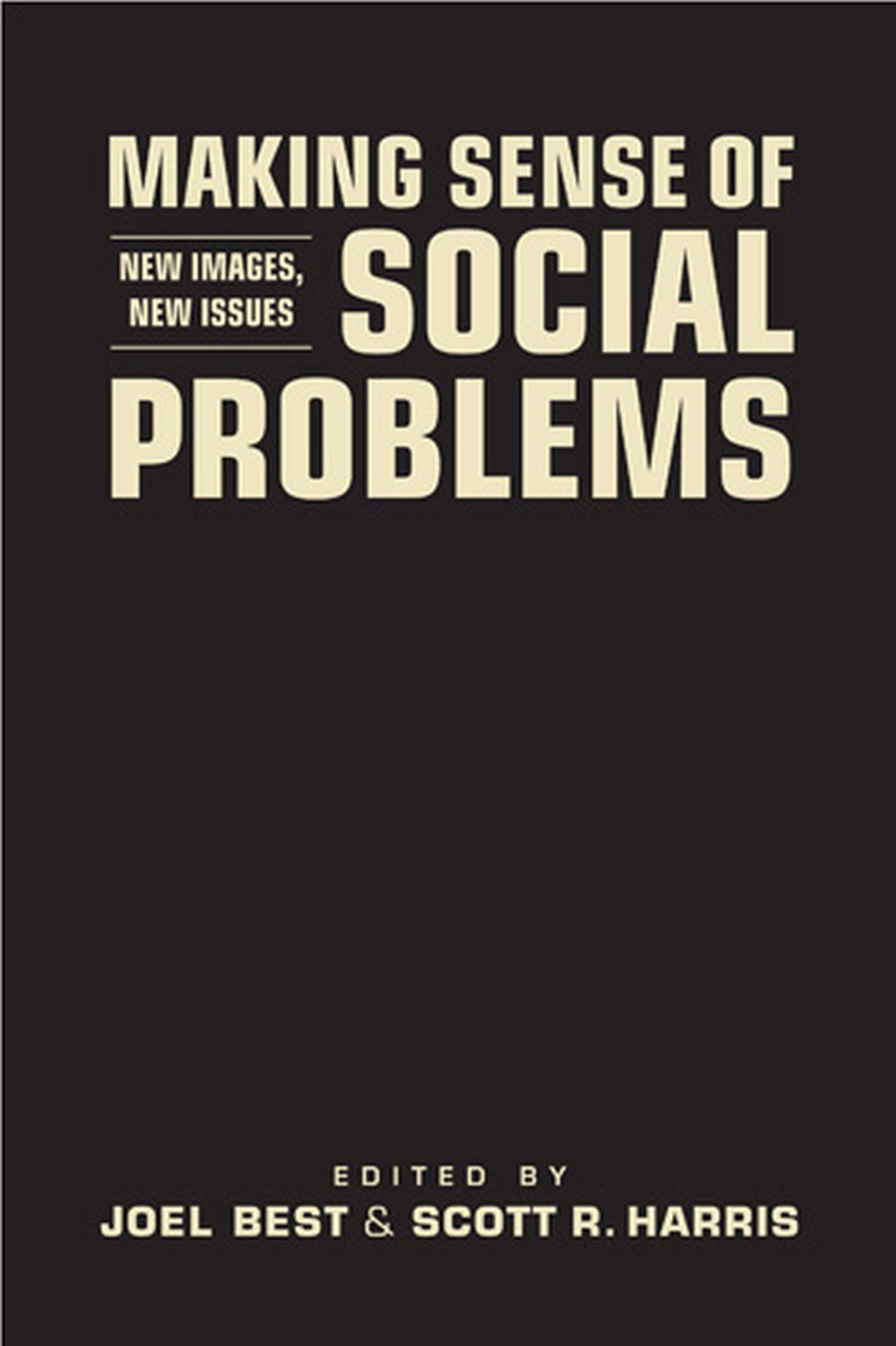 Making Sense of Social Problems: New Images, New Issues (Social Problems, Social Constructions)