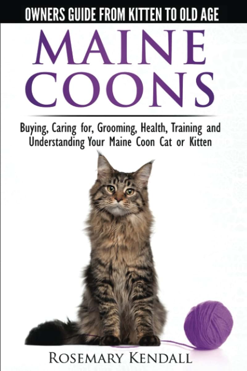 Maine Coon Cats - The Owners Guide from Kitten to Old Age - Buying, Caring for, Grooming, Health, Training, and Understanding Your Maine Coon Paperback - August 15, 2014
