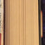 The Book Thief by Markus Zusak