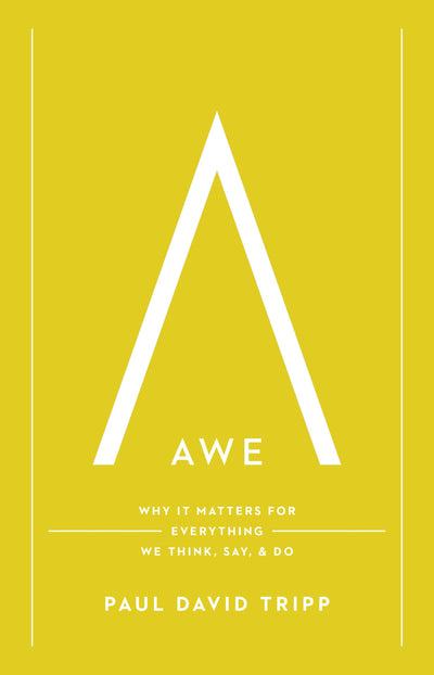 Awe: Why It Matters for Everything We Think, Say, and Do