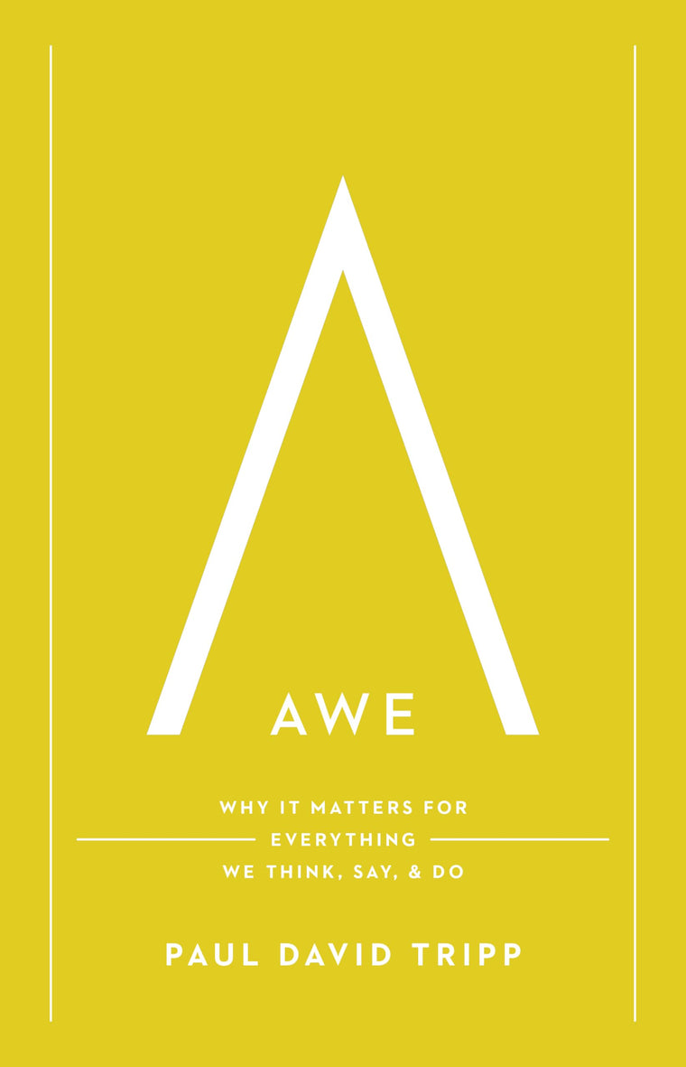 Awe: Why It Matters for Everything We Think, Say, and Do