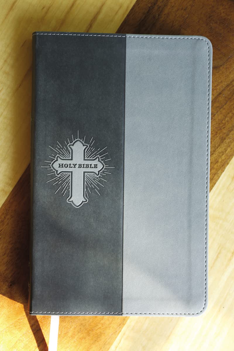 NIV, Bible for Kids, Leathersoft, Gray, Red Letter, Comfort Print: Thinline Edition