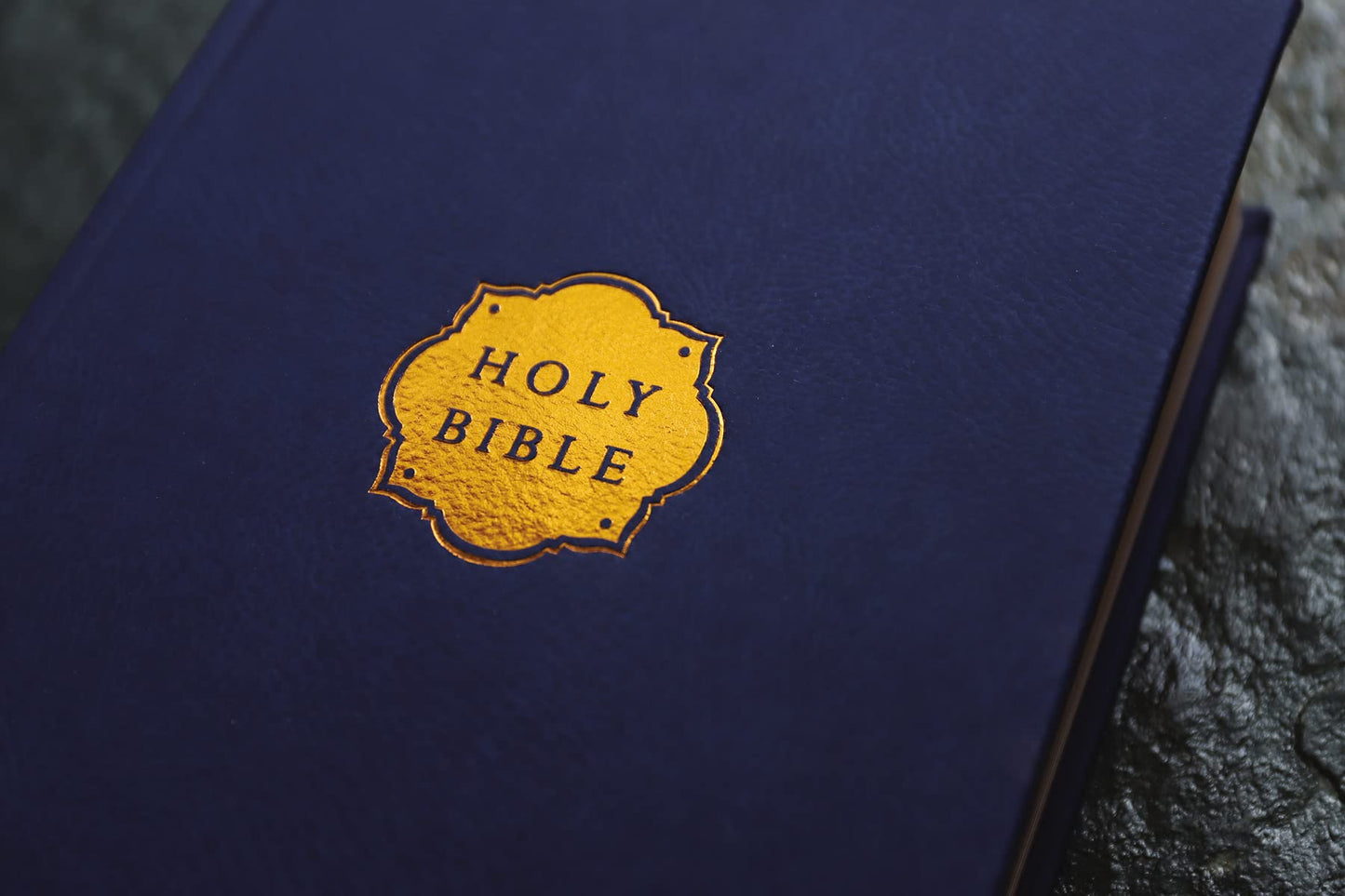 NIV, Our Family Story Bible, Leathersoft over Board, Navy, R
