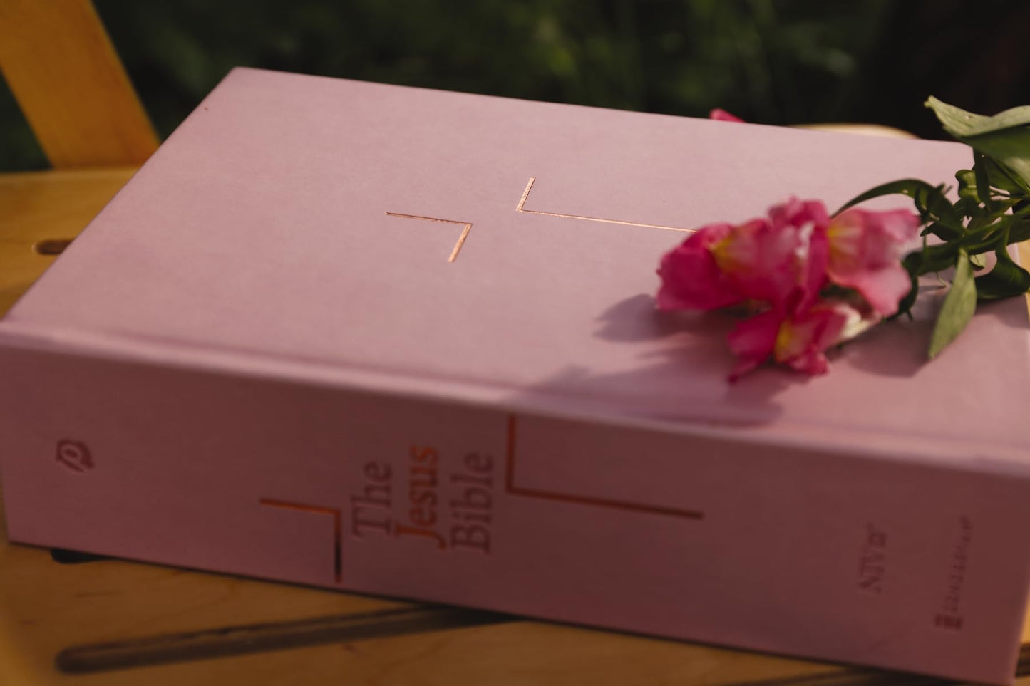 The Jesus Bible, NIV Edition, Leathersoft over Board, Pink, Comfort Print: Sixty-Six Books. One Story. All About One Name.