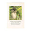 Castles by Alan Lee – Hardcover