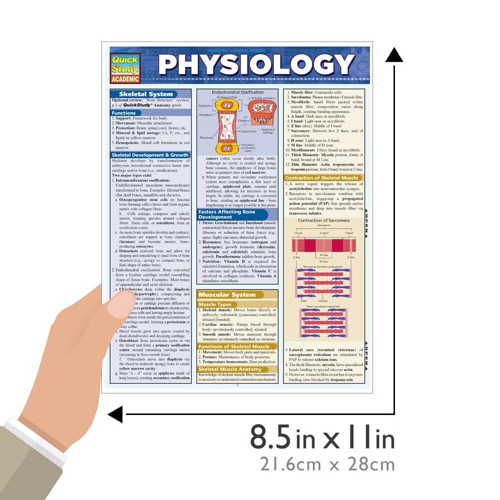 Physiology: QuickStudy Laminated Reference Guide (QuickStudy Academic)