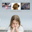 Self-Control in Animals and People