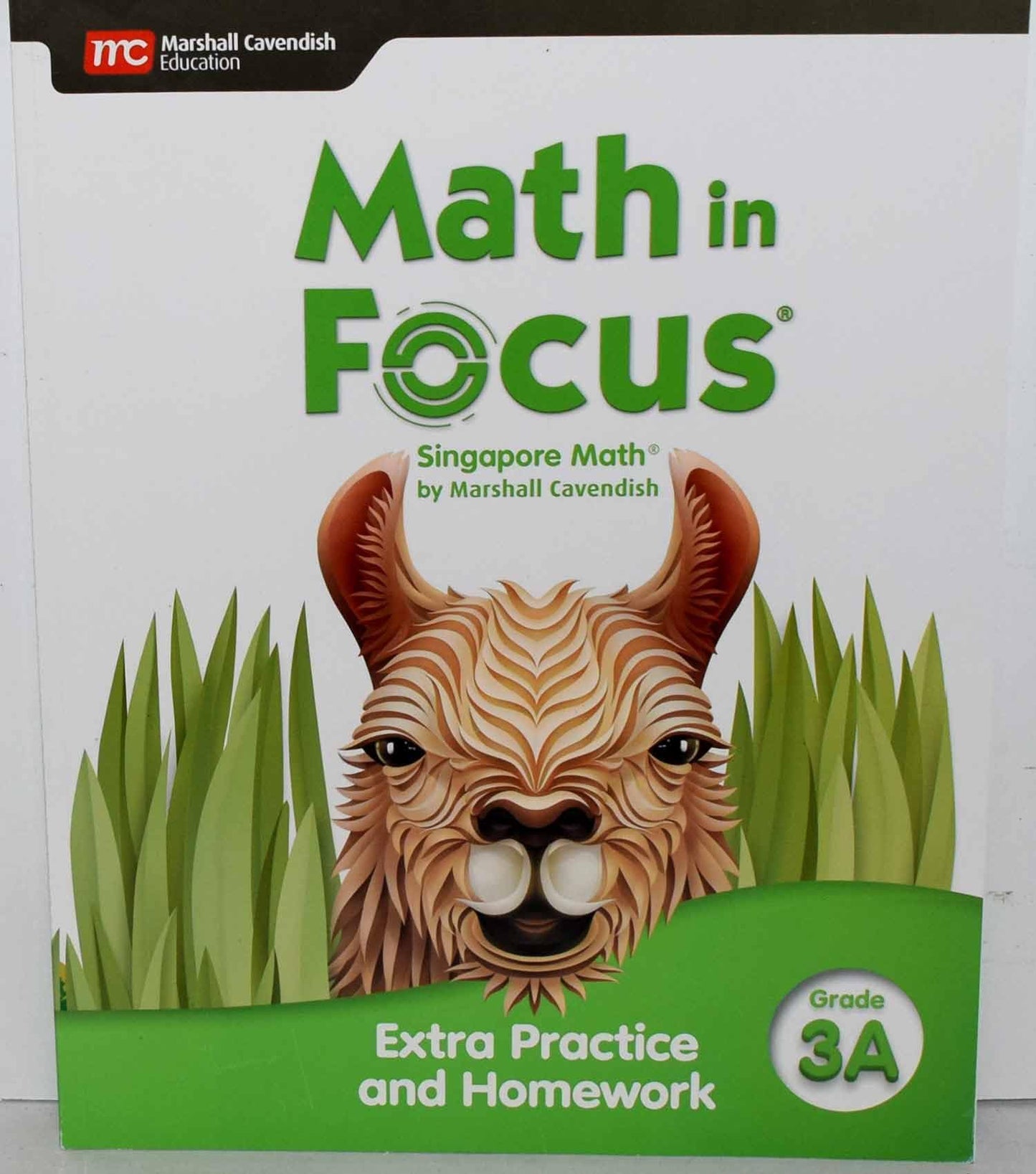 Extra Practice and Homework Volume A Grade 3 (Math in Focus)
