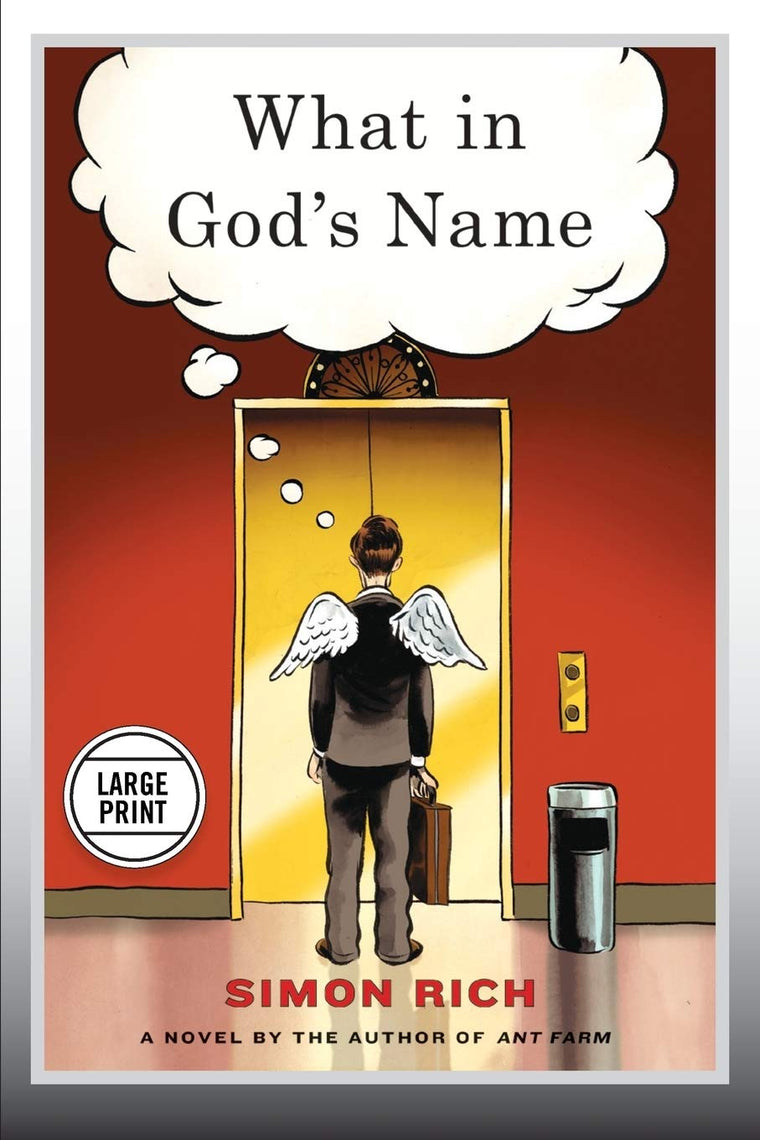What in God's Name: A Novel