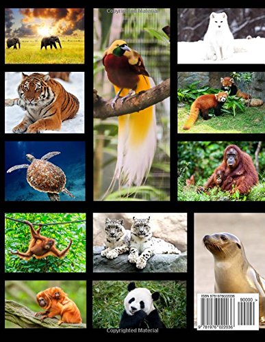 All About Endangered Species - Science & Research Study Guide: Learn All About Rare and Beautiful Animals - Homeschooling - Level B