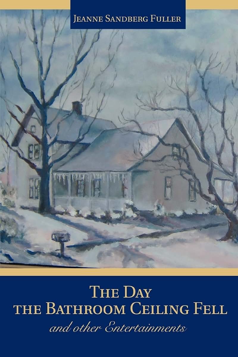 The Day the Bathroom Ceiling Fell: and other Entertainments
