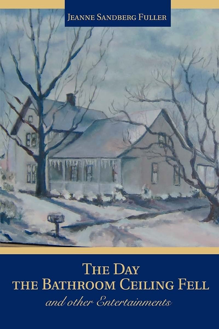 The Day the Bathroom Ceiling Fell: and other Entertainments