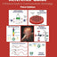 Fiber Optic Reference Guide