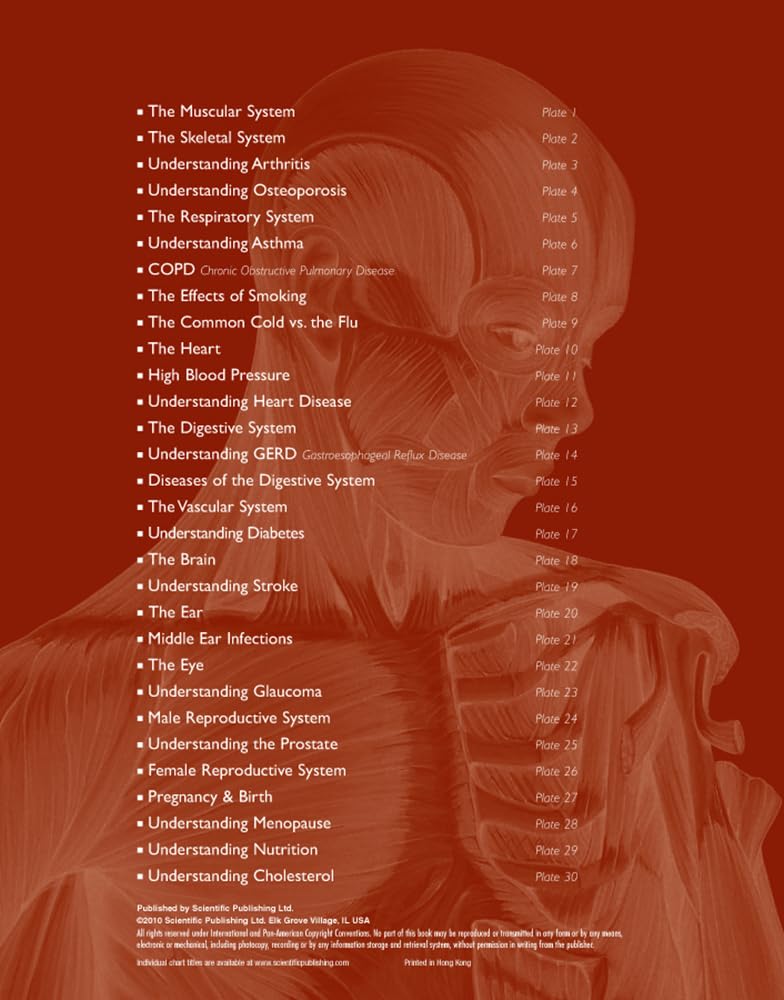 The Illustrated Portfolio of Human Anatomy and Pathology