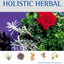 Complete Illustrated Guide to the Holistic Herbal