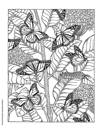 Creative Haven NatureScapes Coloring Book (Adult Coloring Books: Nature)