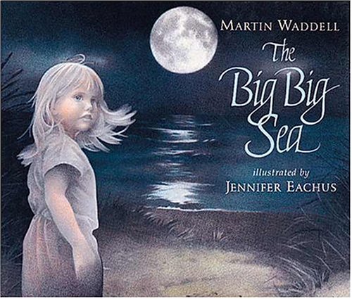 The Big Big Sea by Waddell, Martin