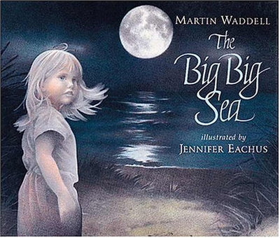 The Big Big Sea by Waddell, Martin