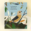 Bird Builds a Nest: A First Science Storybook