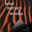 How Nature Works: the science of self-organized criticality