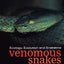 Venomous Snakes: Ecology, Evolution, and Snakebite (Symposia of the Zoological Society of London)