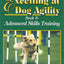Excelling at Dog Agility: Book 3 : Advanced Skills Training