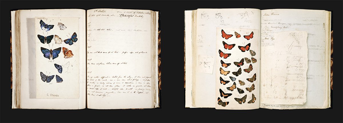 Explorers' Sketchbooks: The Art of Discovery & Adventure (Ar