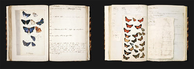 Explorers' Sketchbooks: The Art of Discovery & Adventure (Ar