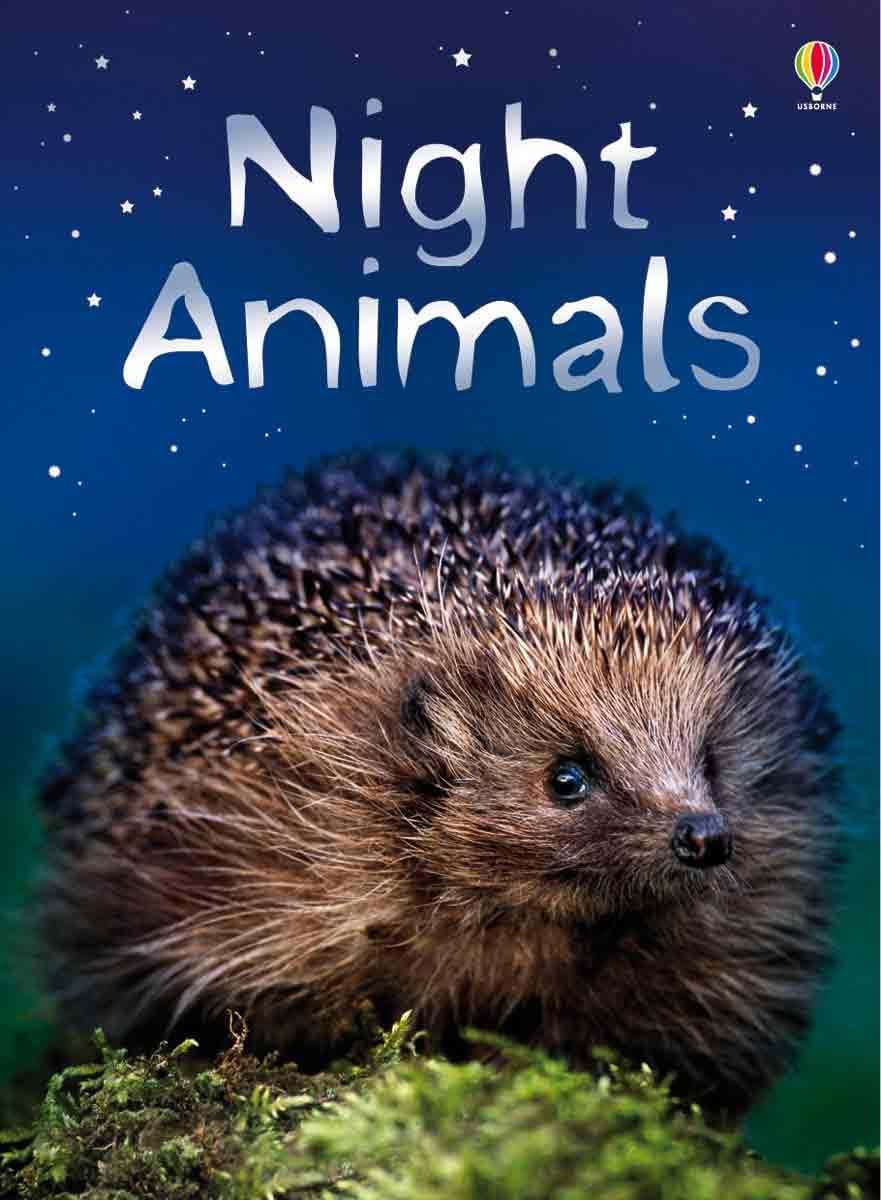 Night Animals (Beginners Nature)