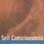 Self Consciousness: An Alternative Anthropology of Identity