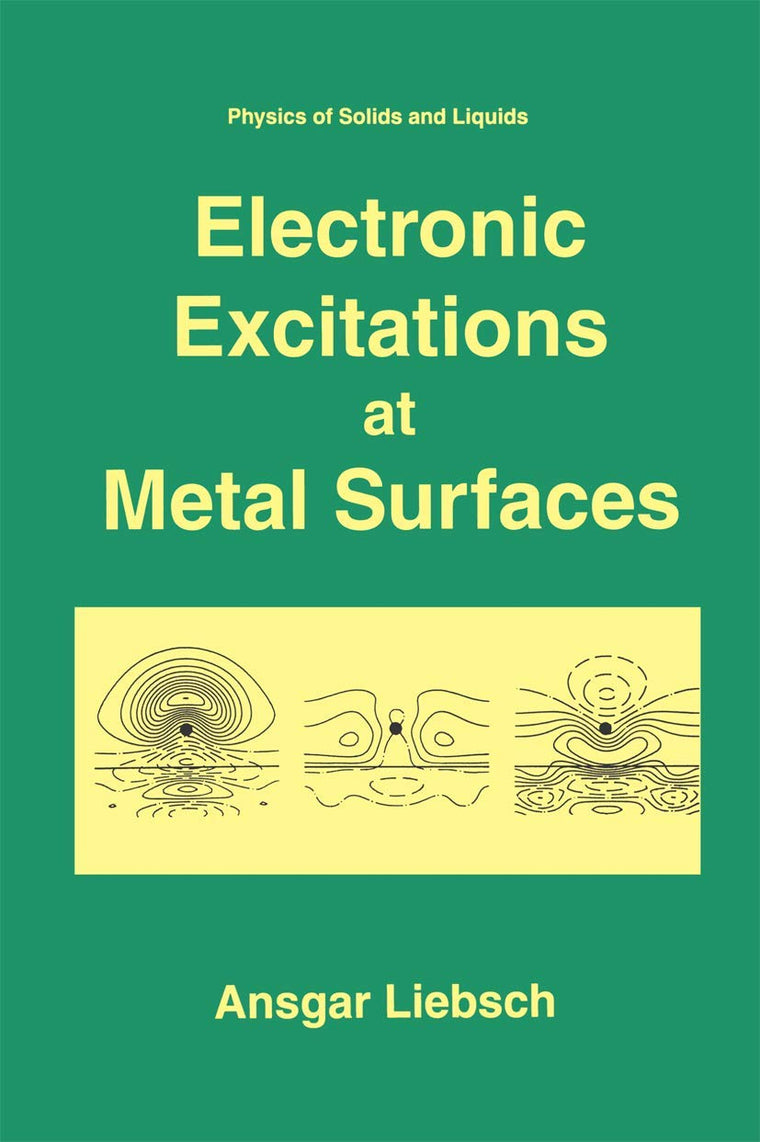 Electronic Excitations at Metal Surfaces (Physics of Solids and Liquids)