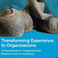 Transforming Experience in Organisations: A Framework for Organisational Research and Consultancy